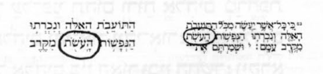 אות היא לעולם-קובץ מאמרים לעיצוב האות העברית-88